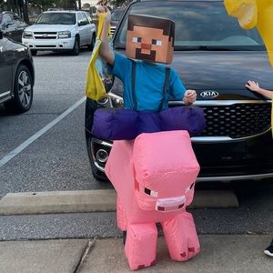 Minecraft Steve riding pig costume